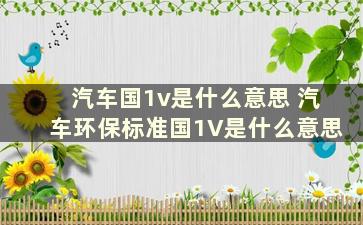 汽车国1v是什么意思 汽车环保标准国1V是什么意思